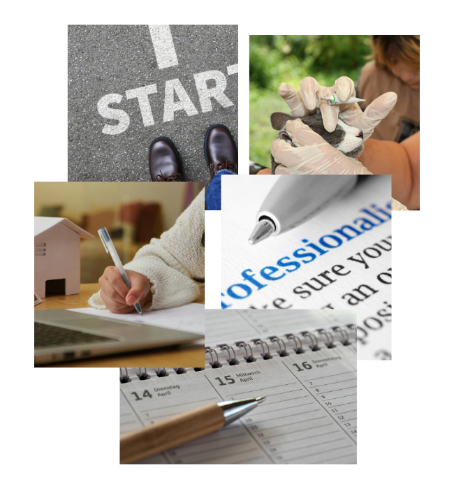 VMCAS Made Simple: What You Need to Know for Vet School Applications