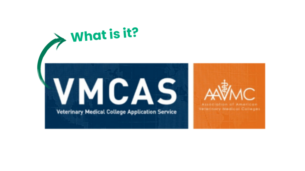 VMCAS Made Simple: What You Need to Know for Vet School Applications