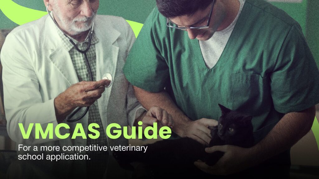 VMCAS guide blog cover showing veterinary professionals examining a cat, with text about building a more competitive veterinary school application.